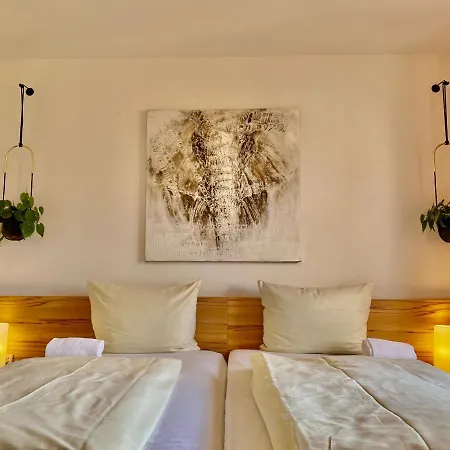 Constantin Guest house 2*